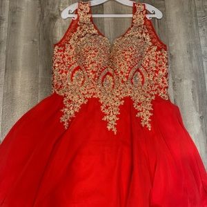 Brand New Homecoming/Formal Knee-Length Dress